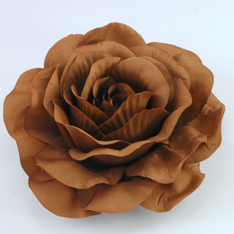 brown rose flowers